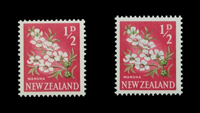 Lot 171 - New Zealand