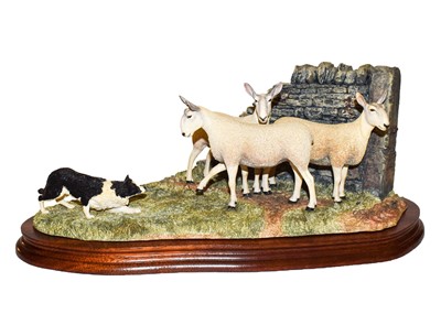 Lot 105 - Border Fine Arts 'Stand Off' (Border Collie and Sheep)