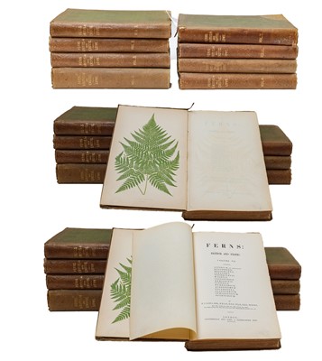 Lot 360 - Lowe (E. J.). Ferns: British and Exotic,...