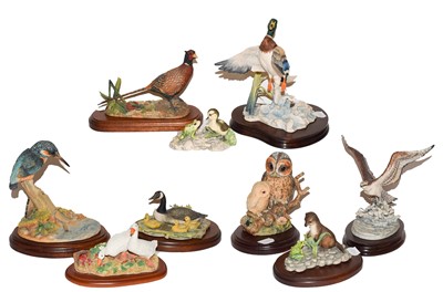 Lot 2 - Border Fine Arts 'Rising Mallard', model No....