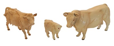 Lot 162 - Beswick Charolais Cattle