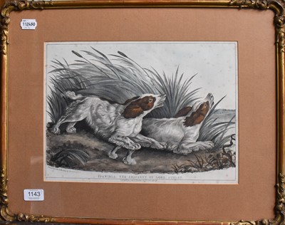 Lot 1143 - Janice Latham (contemporary) 
A study of two...