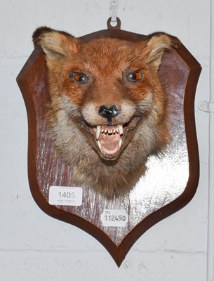 Lot 1405 - Taxidermy: A European Red Fox Mask (Vulpes...