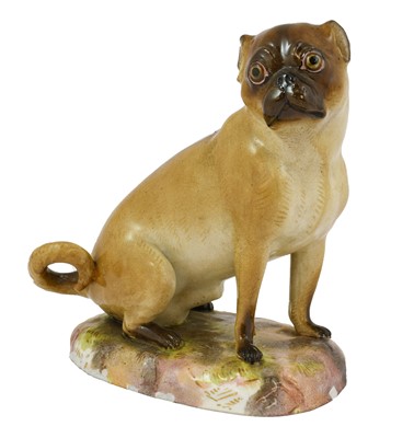 Lot 654 - A Meissen Porcelain Figure of a Pug, late 19th...