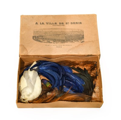 Lot 2225 - Collection of Assorted Feathers for costume or...