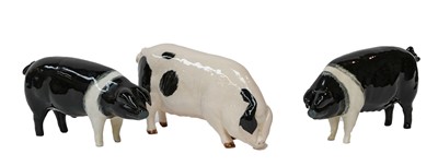 Lot 175 - Beswick Pigs