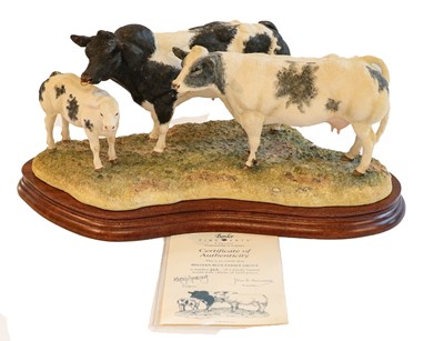 Lot 86 - Border Fine Arts 'Belgium Blue Family'