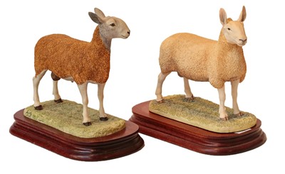 Lot 89 - Border Fine Arts 'Blue Faced Leicester Tup' (Style One)