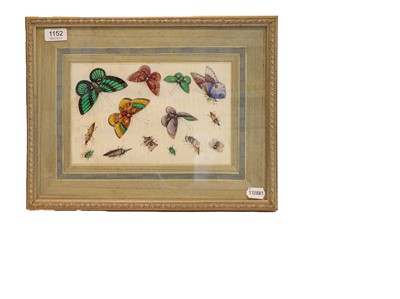 Lot 1152 - Chinese rice paper panel painted with moths,...