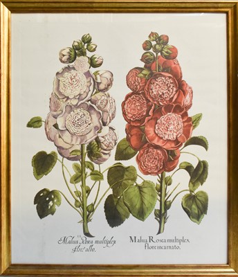Lot 1195 - A pair of botannical furnishing prints in gilt...