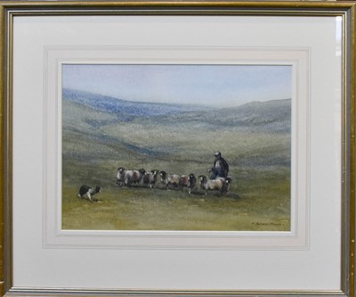 Lot 1164 - Brian Irving (1931-2013) 
"Bringing in the...