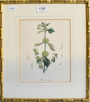 Lot 1196 - After G.D. Ehret, colour reproductions,...