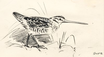 Lot 506 - Eileen Soper RMS, SWLA (1905-1990) "Snipe"...