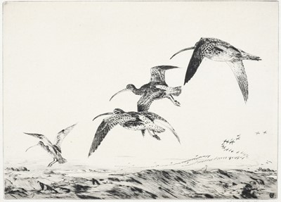 Lot 510 - Winifred Austen (1876-1964) "Over the Oak Tops"...