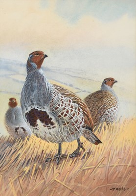 Lot 242 - Peter Allis (b.1944) A covey of Partridge...