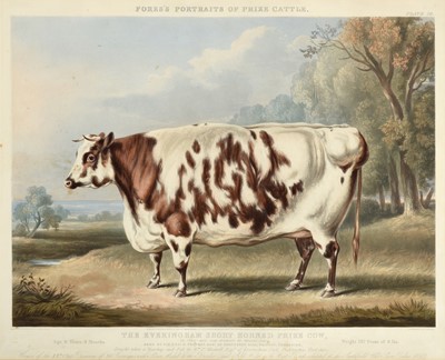 Lot 190 - After William Henry Davis (1786-1865) "Peach,...