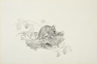 Lot 176 - George Roe (20th century) "Watervole and Marsh...