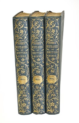 Lot 2149 - Morris (Rev F.O.) A Natural History of the...