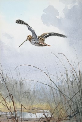 Lot 1026 - John Cyril Harrison (1898-1985) Woodcock in...