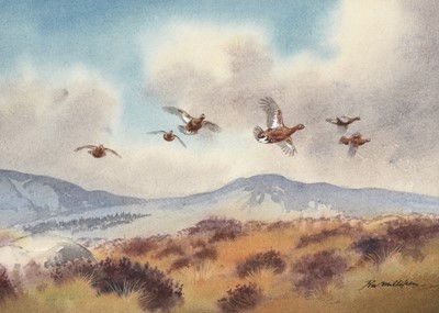 Lot 1020 - Robert W Milliken (1920-2014) Grouse in flight...
