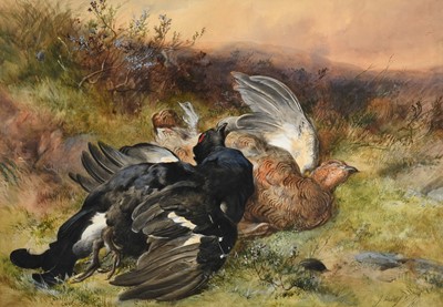 Lot 1015 - James Hardy Jnr. RI (1832-1889) Still life of...