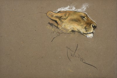 Lot 1003 - Arthur Wardle (1860-1929) Head study of a...