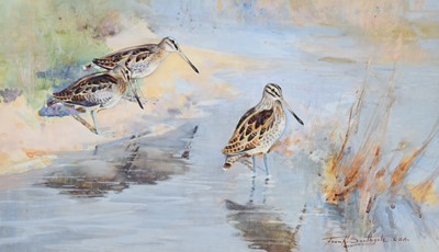 Lot 1027 - Frank Southgate RBA (1872-1916) "Snipe Feeding"...
