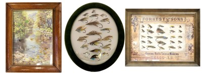 Lot 79 - Three Framed Displays of Flies