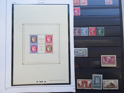 Lot 166 - France and French Colonies