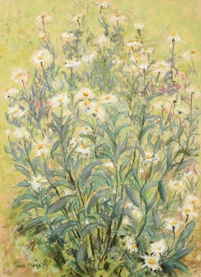 Lot 36 - Paul Maze (1887-1979) French Study of Oxeye...