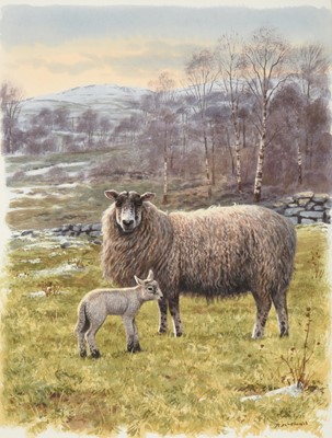 Lot 1048 - Rodger McPhail (b.1953) "Ewe and Lamb" Signed,...