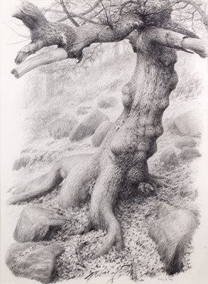 Lot 1000 - Raymond Booth (1929-2015) “Tree Study” (1994)...