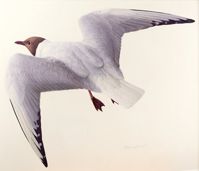 Lot 1002 - Raymond Booth (1929-2015) "Black Headed Gull"...