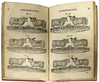 Lot 85 - Cumbrian Agriculture. The Shepherds Guide; or...