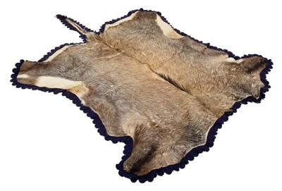 Lot 2079 - Skins/Hides: A Nilgai Antelope Hide...