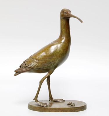 Lot 24 - Patricia Northcroft (Contemporary), limited...