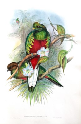 Lot 116 - Gould (John). A Monograph of the Trogonidae,...