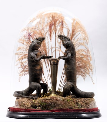 Lot 217 - Anthropomorphic Taxidermy: A Victorian Pair of...