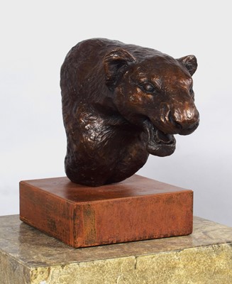 Lot 137 - Natural History Bronze: David Cemmick...