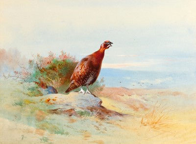 Lot 1060 - Attributed to Archibald Thorburn FZS...