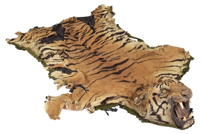 Lot 95 - Taxidermy: Bengal Tiger Skin (Panthera tigris...