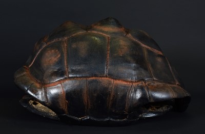 Lot 188 - Natural History: An Aldabra Giant Tortoise...