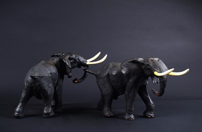 Lot 192 - Natural History: A Pair of Limited Edition...