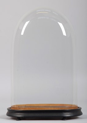 Lot 179 - Glass Dome: A Period Glass Dome, of oval shape,...