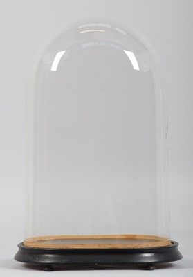 Lot 171 - Glass Dome: A Period Glass Dome, of oval shape,...