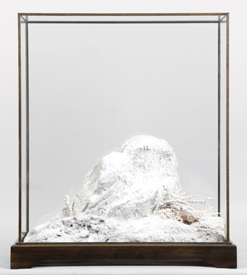 Lot 187 - Taxidermy: A Large Display Case, modern, the...