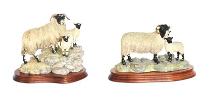 Lot 105 - Border Fine Arts 'A Ewe and a Pair', model No....