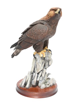Lot 178 - Border Fine Arts 'Master of the Skies' (Golden...