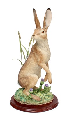 Lot 192 - Border Fine Arts 'Wary' (Hare among Thistles),...