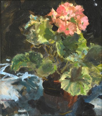 Lot 588 - Pat Maclaurin (1933-2022) Geranium Signed, oil...